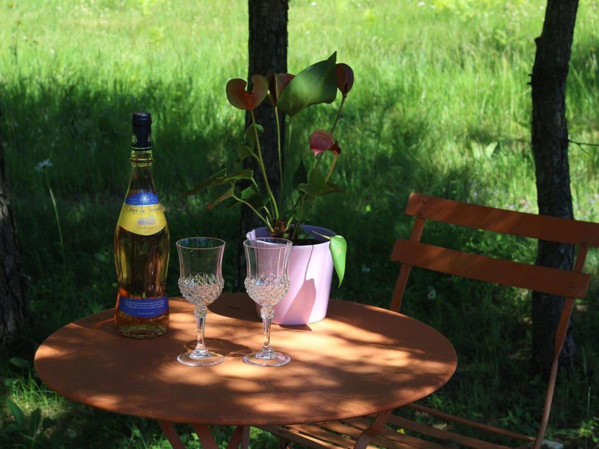 Gite Nature Au Chambon-Sur-Lignon: Terrasse, Wifi, Proche Activites Et Commerces - Fr-1-582-137 Шамбон-сюр-Линьон Экстерьер фото