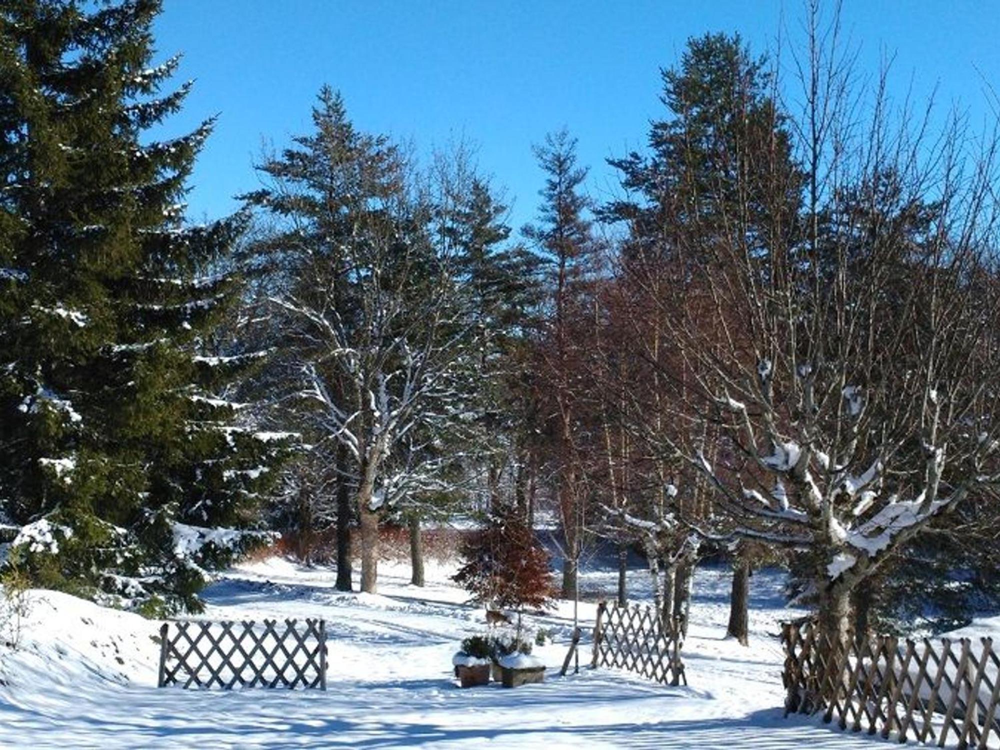 Gite Nature Au Chambon-Sur-Lignon: Terrasse, Wifi, Proche Activites Et Commerces - Fr-1-582-137 Шамбон-сюр-Линьон Экстерьер фото